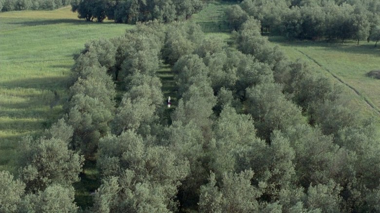 Through the Olive Trees – Μέσα απ’ τα λιόδεντρα