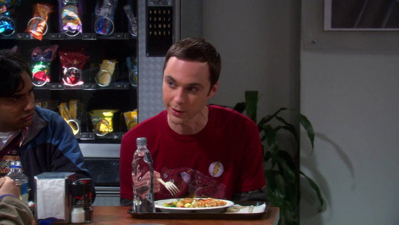 The Big Bang Theory Sezonul 4 Episodul 7 Online Subtitrat in Romana