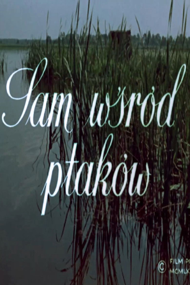 Imatge de Sam wśród ptaków