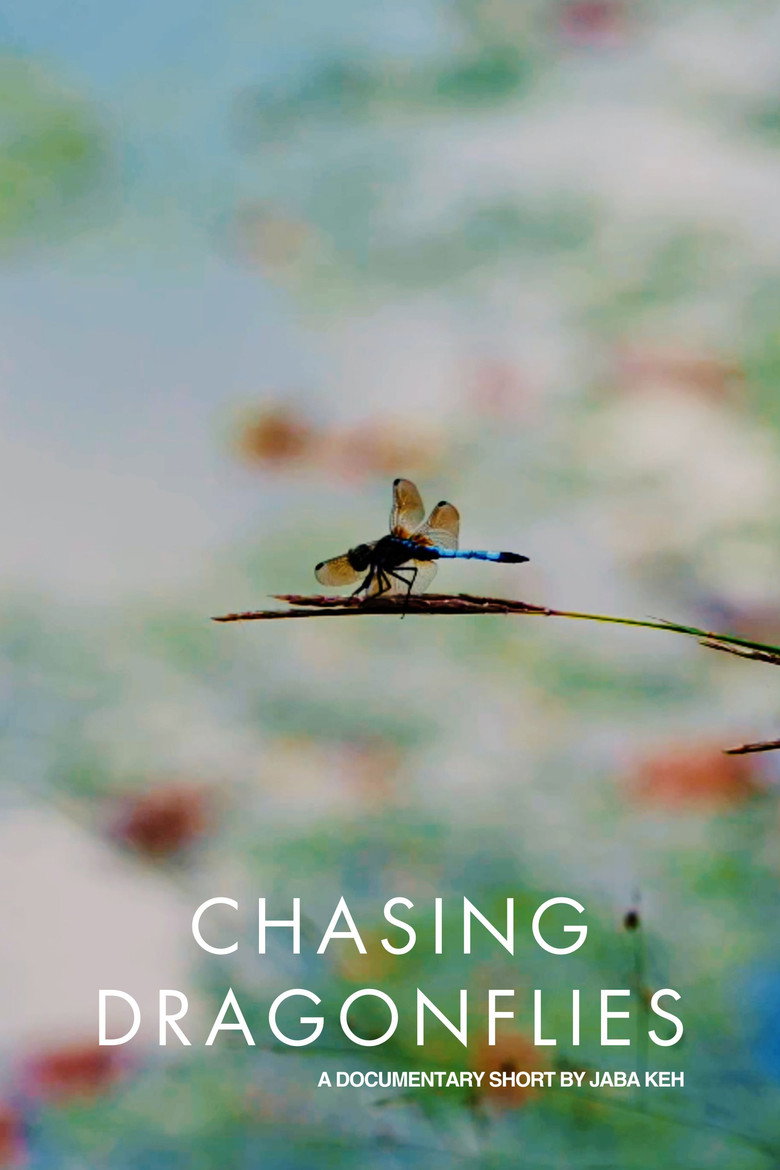 Imatge de Chasing Dragonflies