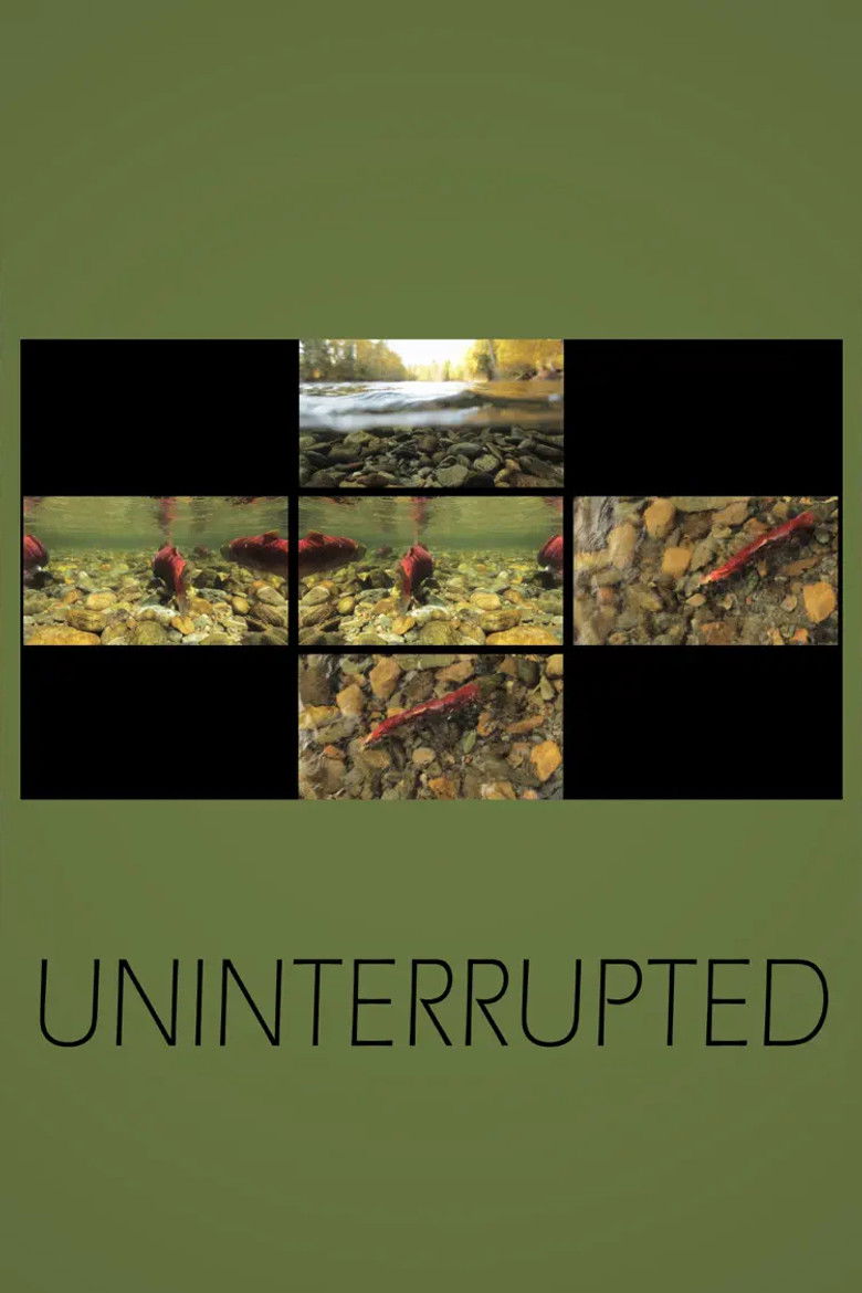 Imatge de Uninterrupted