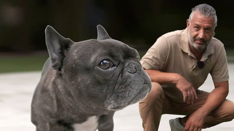 Still image for Hunde verstehen! season 1 episode 1: Episode 1