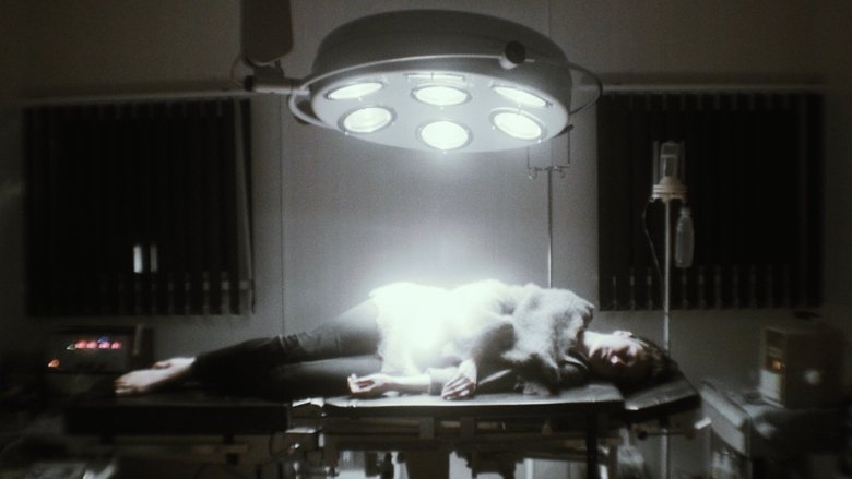 Gallery image from 4CiR9hclsJUerhVdaZbINRv1yp5.jpg