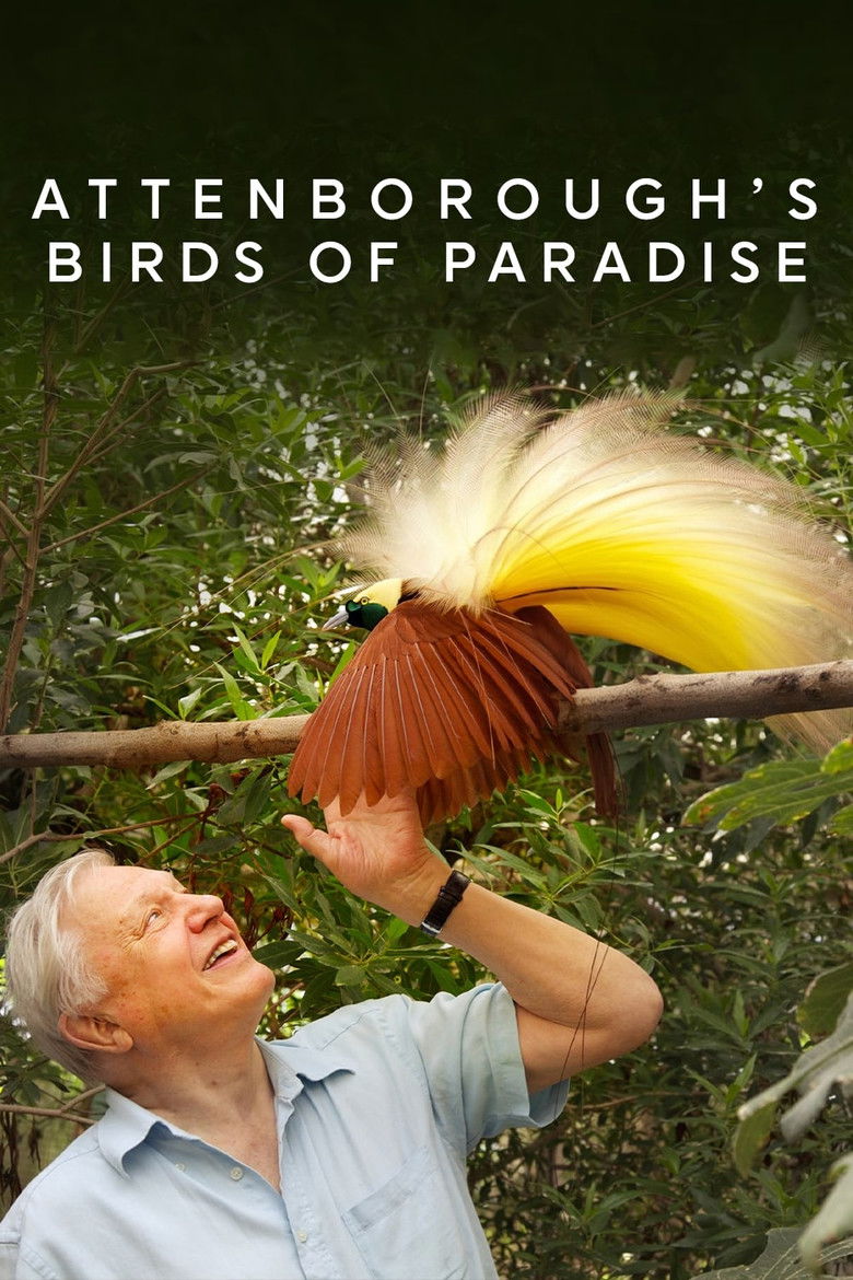 Birds of Paradise poster