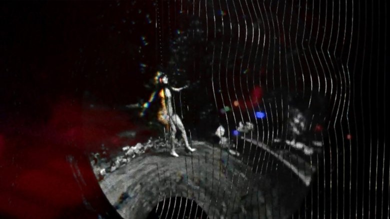 Gallery image from 4DChVj1wyWSnZPrEN48w6yDtmVH.jpg