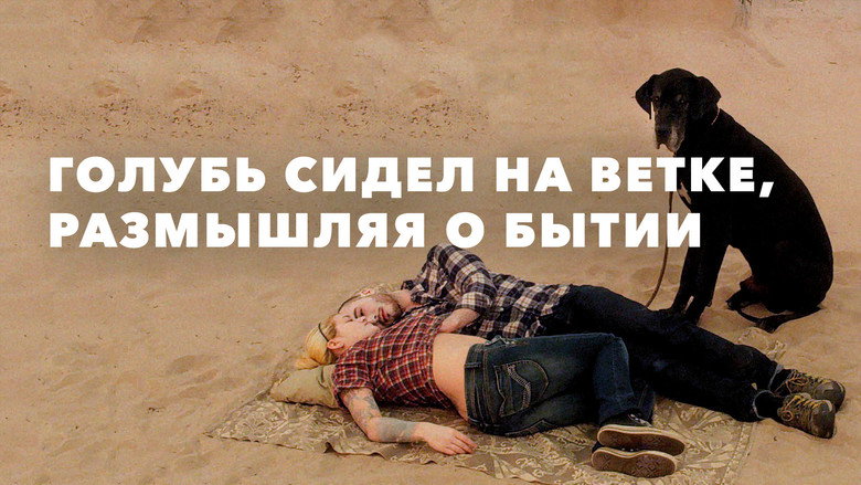 scenes 13