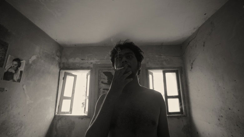 Imatge de A Fly Floating In The Midst Of The Milk