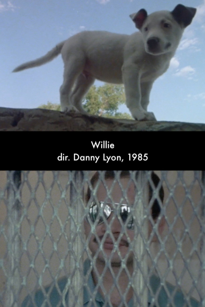 Imatge de Willie