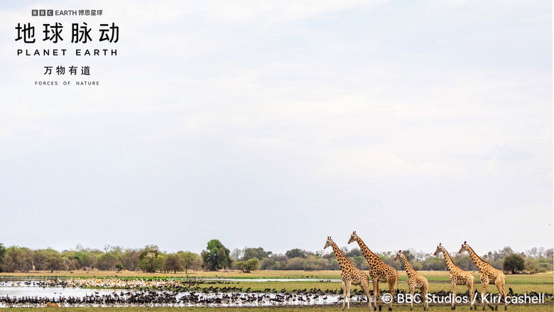 Image d'arrière-plan 4 du film Planet Earth: Forces of Nature