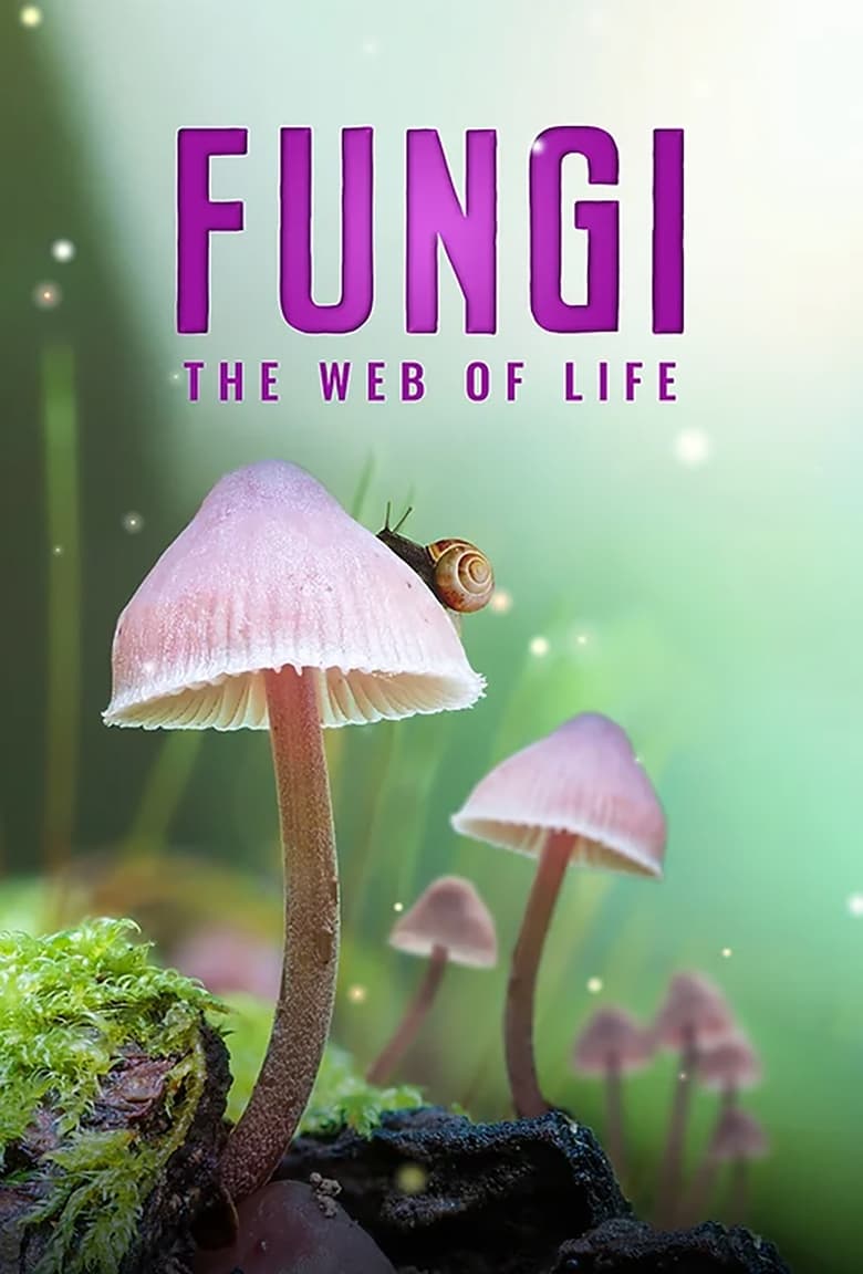 Fungi: The Web of Life (2023)