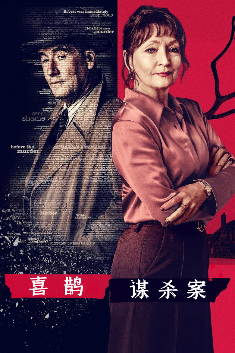 喜鹊谋杀案 封面海报
