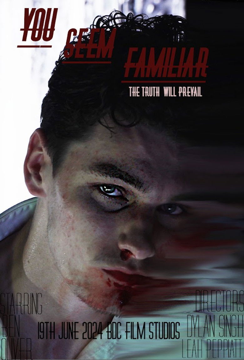 Imatge de You Seem Familiar