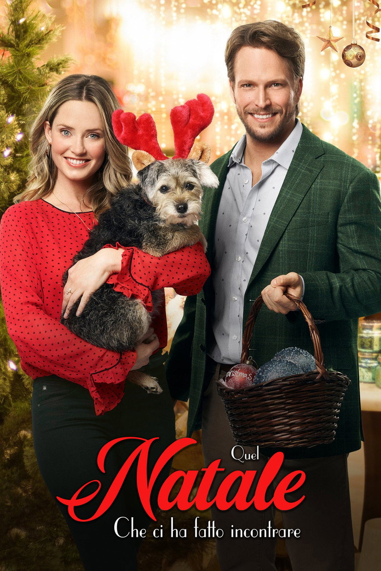 Copertina di Quel Natale che ci ha fatto incontrare