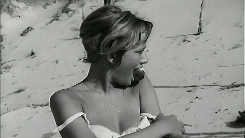 Gallery image from 4I9PwiwjH6N8wYtqf25ze3WRFHL.jpg