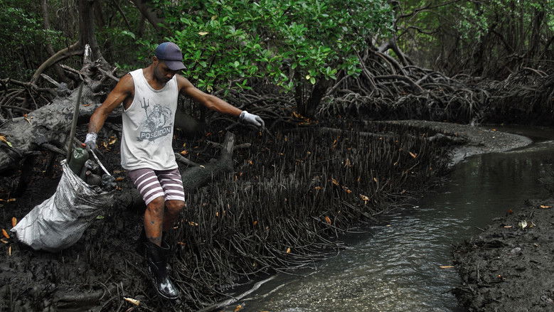 Imatge de Fragmentos de Gondwana