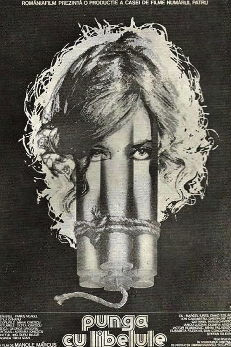 The Dragonfly Bag main poster