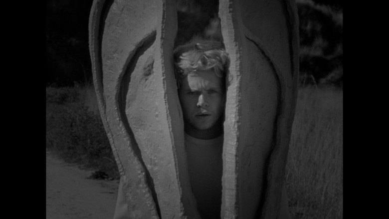 Gallery image from 4JA0zBqHDWfCG39Br8rRVnTsjZo.jpg