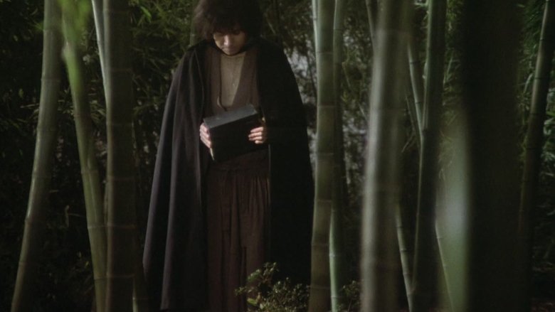 Gallery image from 4JHrIknOdgYhoXLoLN1aiuvok9L.jpg