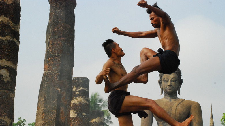 Muay Thai Warrior backdrop 4