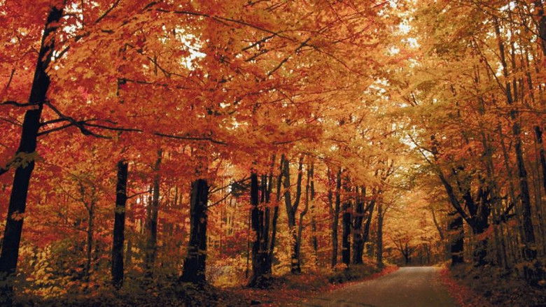 Still image for Foundations of Organic Chemistry season 1 episode 19: Conjugation and the Diels-Alder Reaction Still image for Foundations of Organic Chemistry season 1 episode 19: Conjugation and the Diels-Alder Reaction