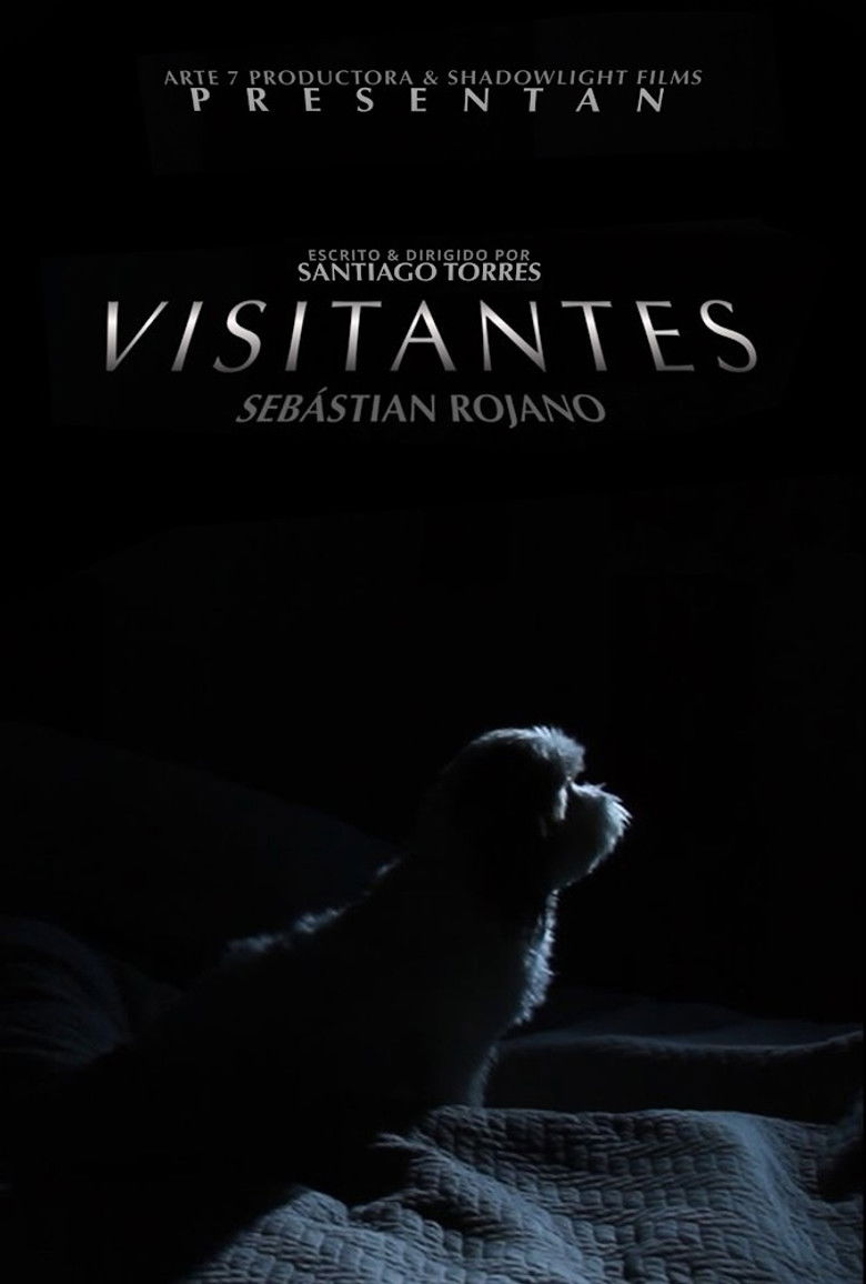 Imatge de Visitantes