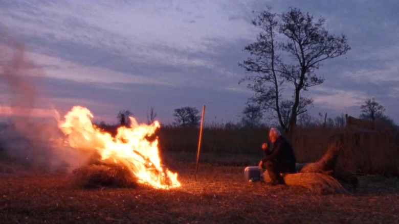 Image d'arrière-plan 10 du film Reedland