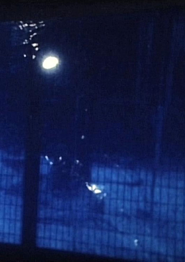 Imatge de Tortured Dust