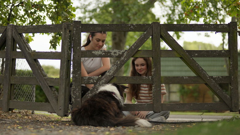 Gallery image from 4LNUBQ2PQJ3yoIIxzfjkd98PJD9.jpg