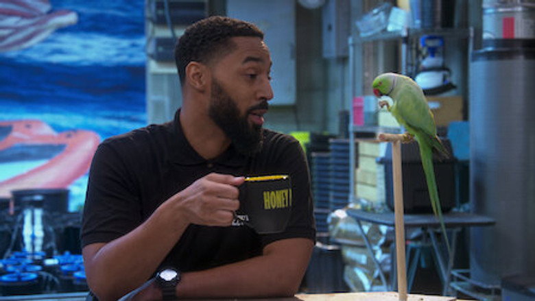 Still from Disjointed - Season 1 Episode 15