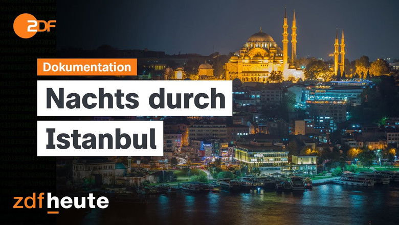 Imatge de Megacity: When Night Falls in Istanbul