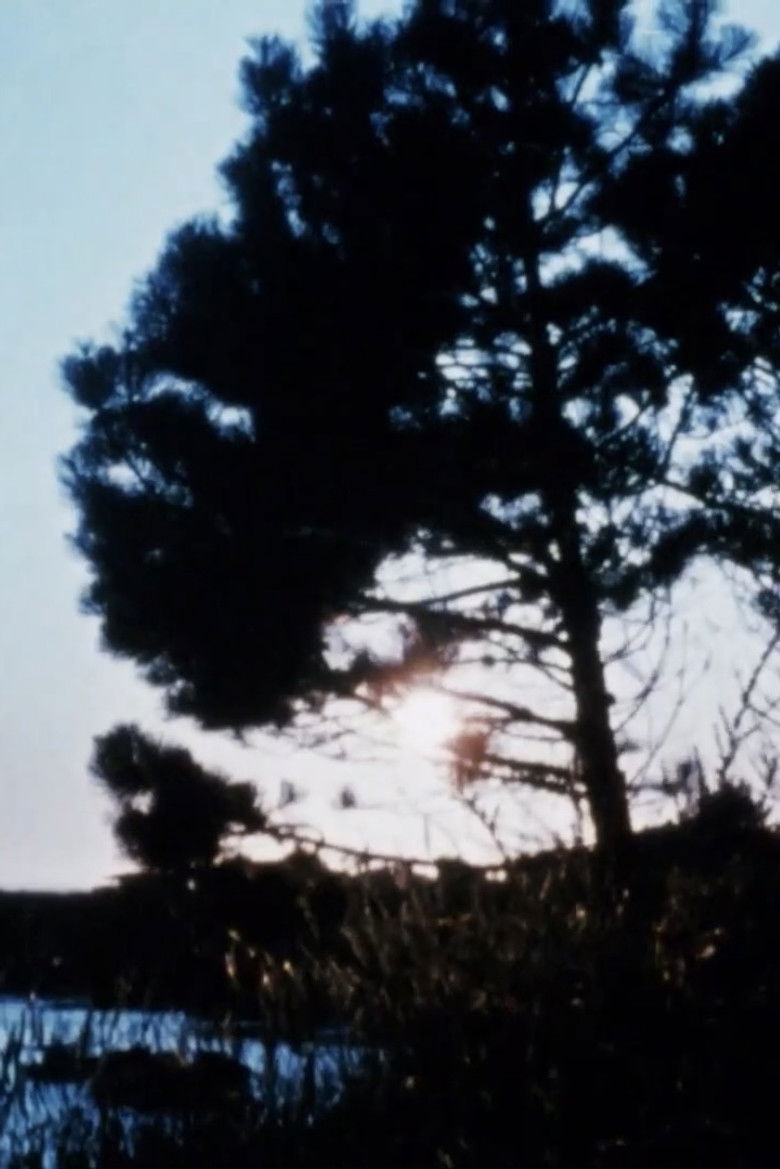 Imatge de Matter of Clarity