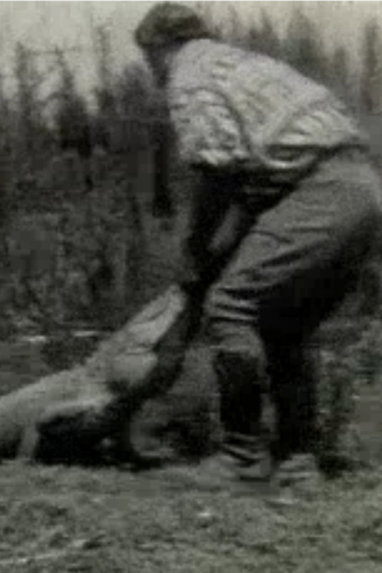 Scenes of the Everglades poster