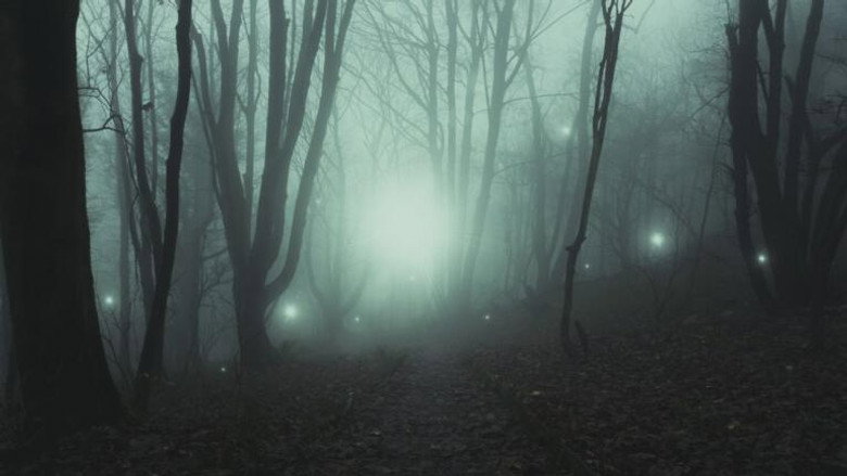 Unidentified Lights