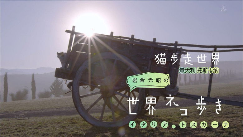 Still image for Mitsuaki Iwago's World “Cats” Travelogue season 1 episode 66: Tuscany, Italy Still image for Mitsuaki Iwago's World “Cats” Travelogue season 1 episode 66: Tuscany, Italy