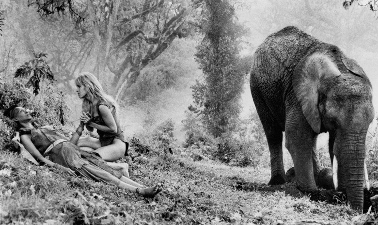 La Reina De La Selva Reparto