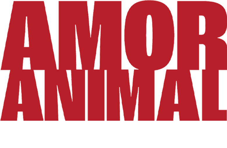 Imagen 5