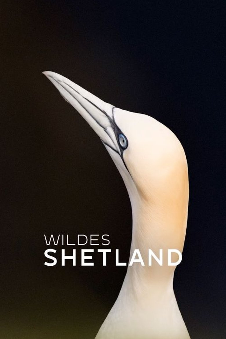 Wildes Shetland poster