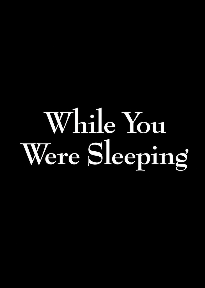 While You Were Sleeping poster