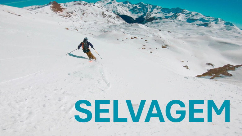 Sauvatge galeri 1