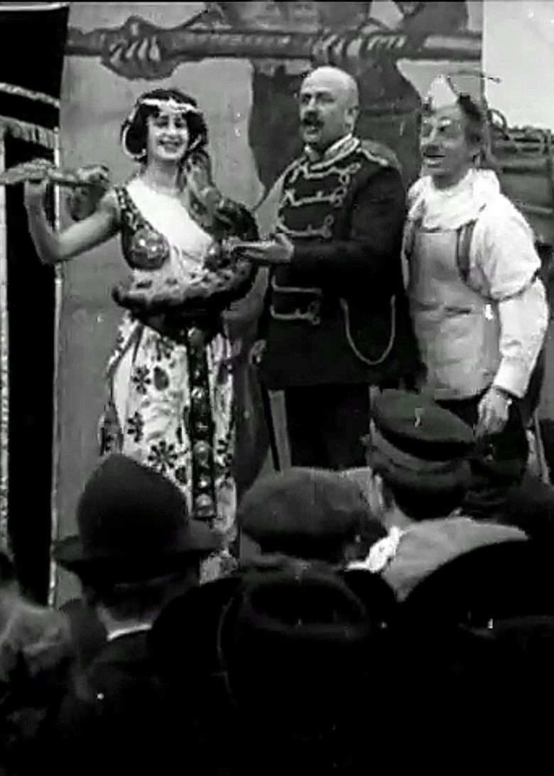 Imatge de Den Flyvende Cirkus