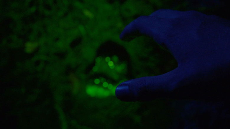 Gallery image from 4Rasznn3Tp8vwuKUic21XRMQYjv.jpg