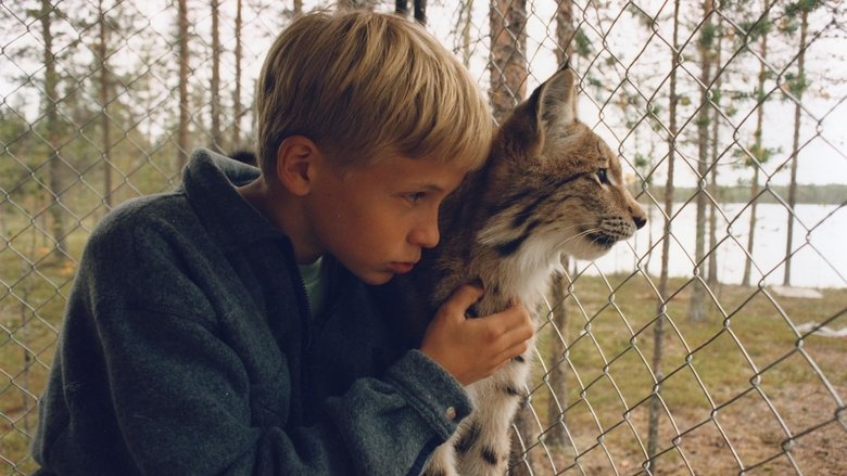 Tommy and the Wildcat