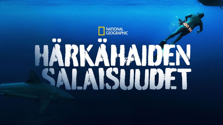 Gallery image from 4S41tYITblvH9qCsVY8nnkqfyIp.jpg