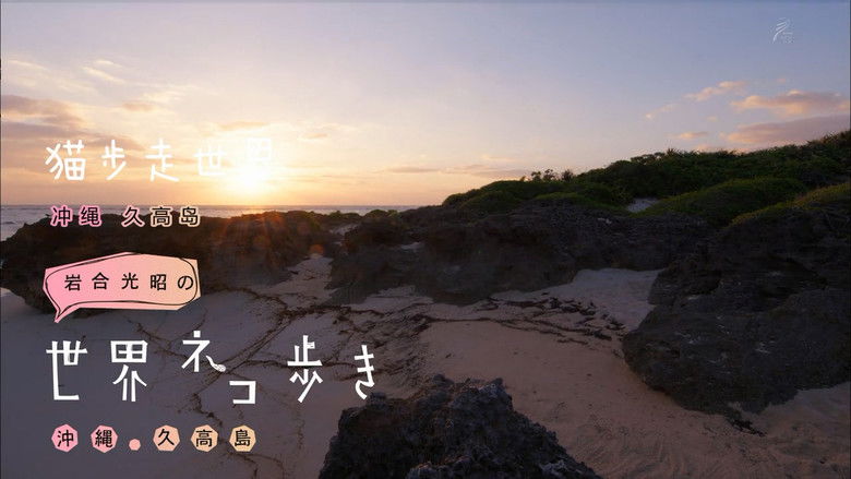 Still image for Mitsuaki Iwago's World “Cats” Travelogue season 1 episode 71: Okinawa Kudaka Island Still image for Mitsuaki Iwago's World “Cats” Travelogue season 1 episode 71: Okinawa Kudaka Island