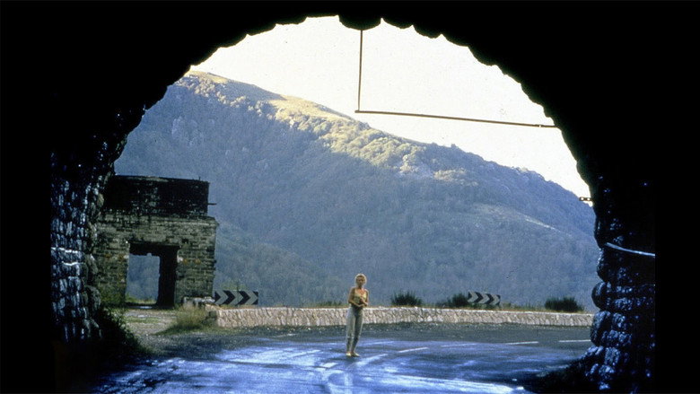 Film backdrop