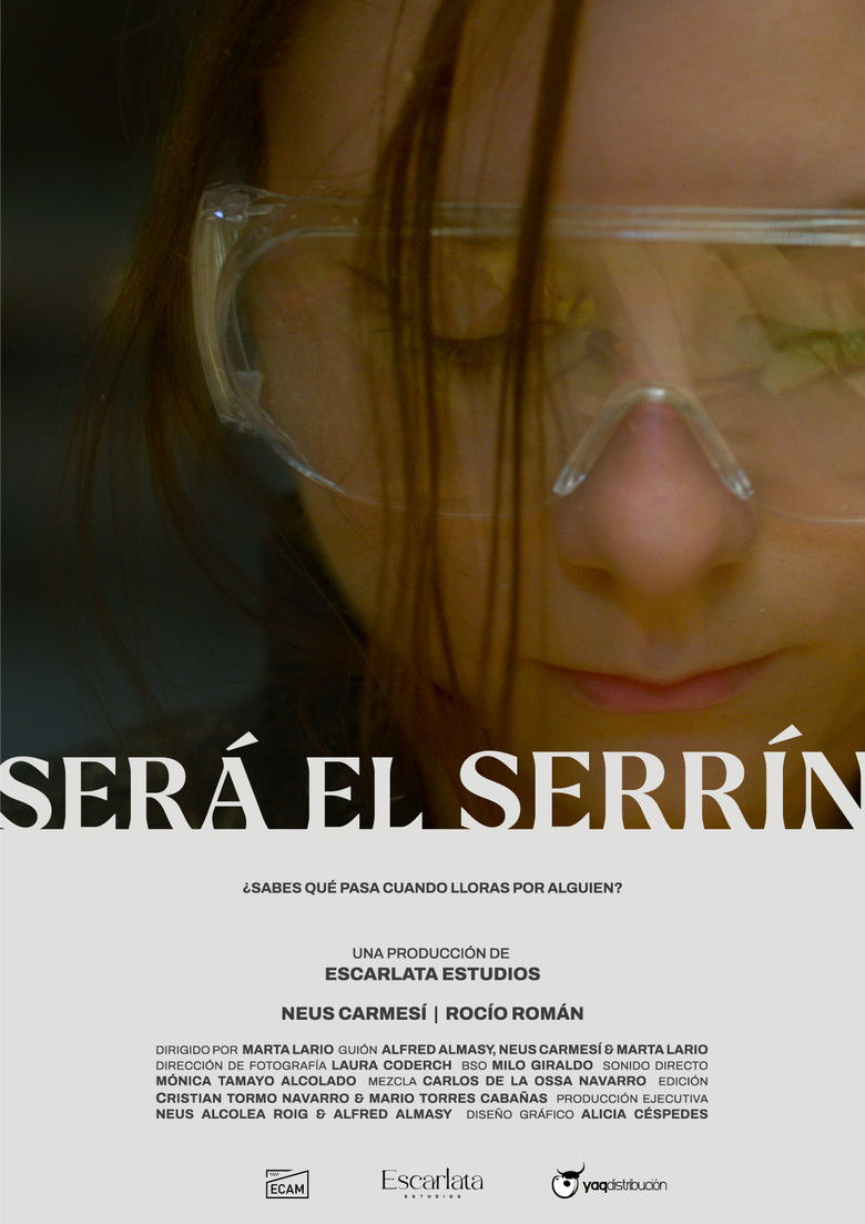 Imatge de Será el serrín