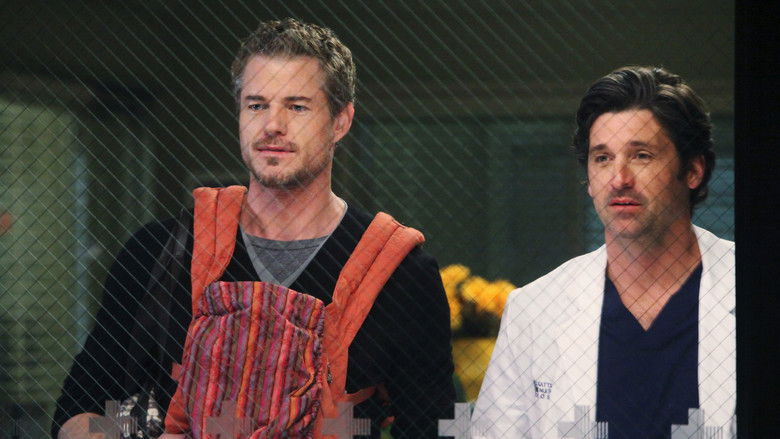 Grey's Anatomy Sezonul 7 Episodul 21 Online Subtitrat in Romana - FSonline