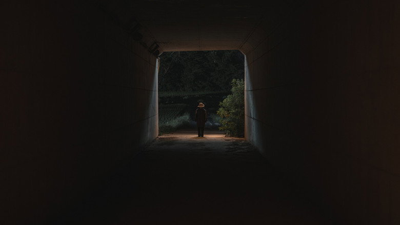 The Scarecrow - imagen 13