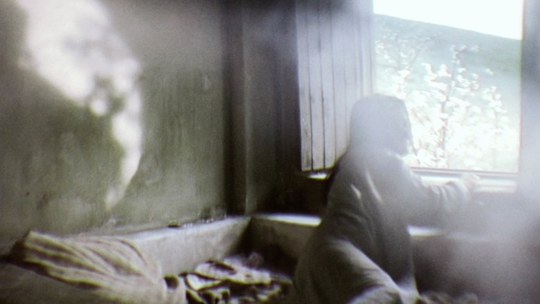 Mother and Son (1997)