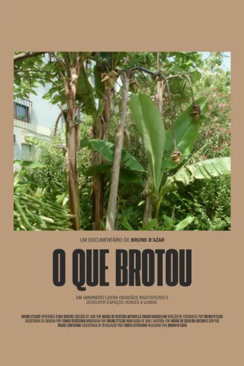 O Que Brotou poster